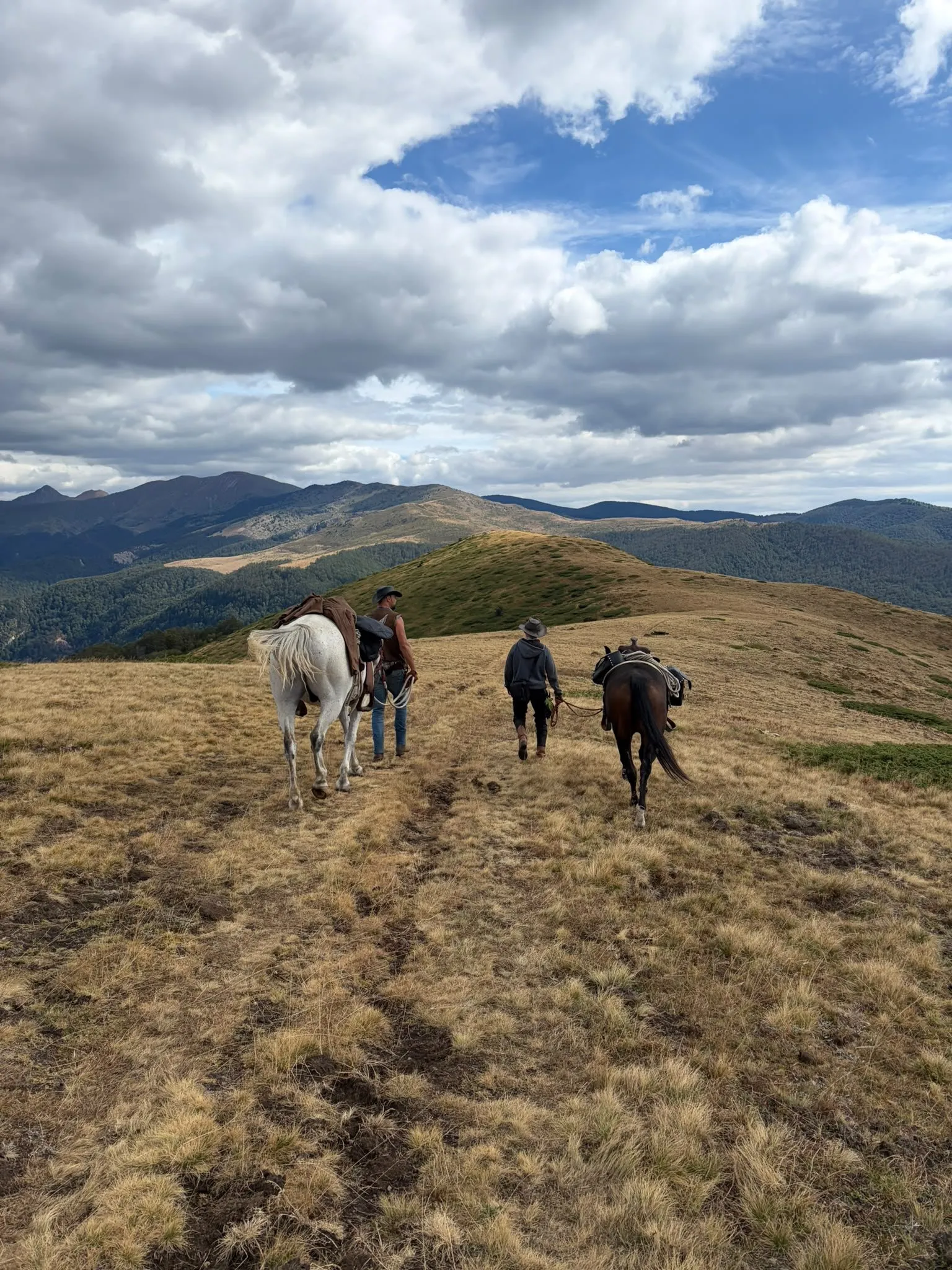 Riders leading their horses along a golden mountain ridge under a cloudy sky
