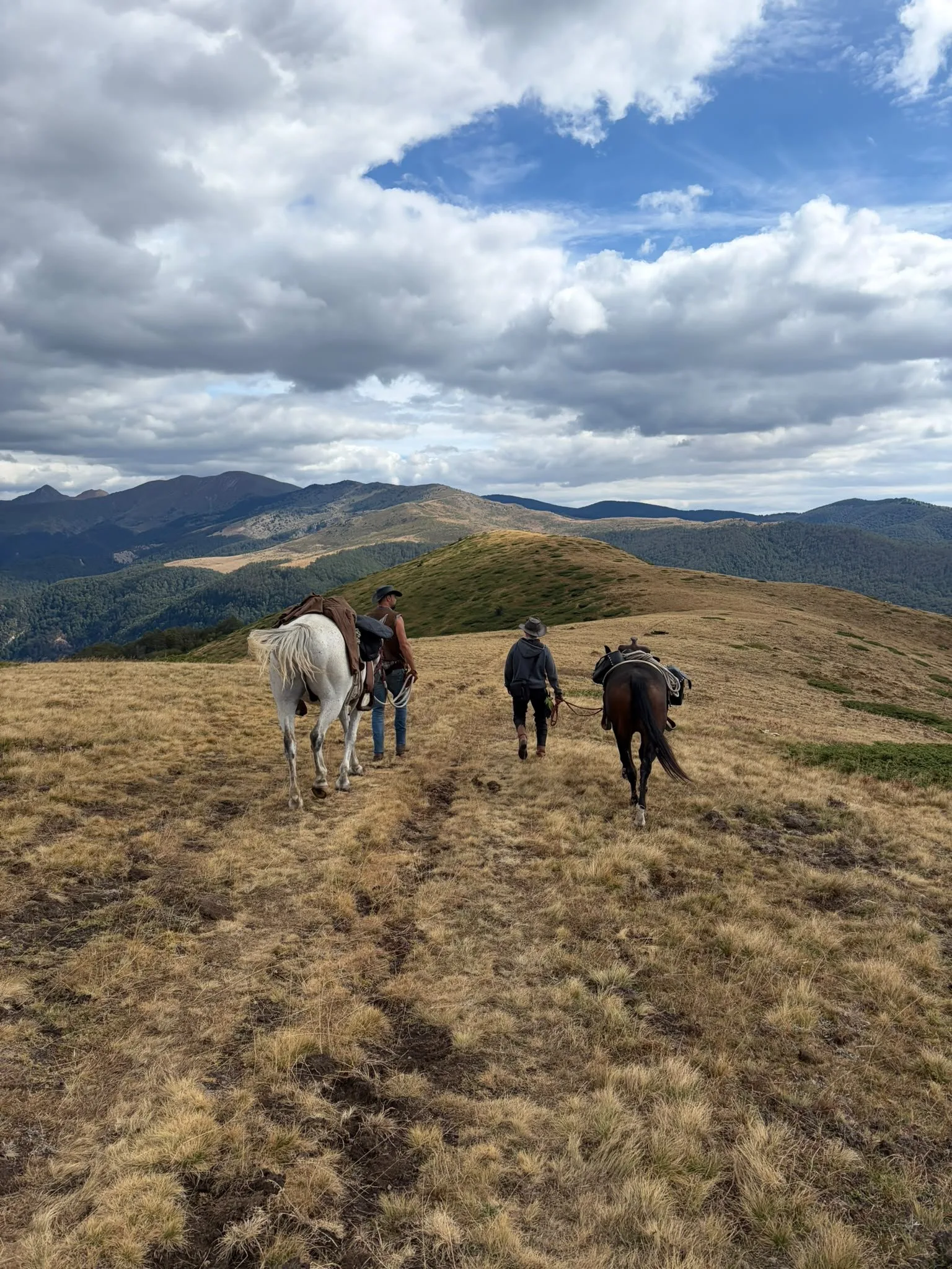 Riders leading their horses along a golden ridge in the Central Balkan mountains