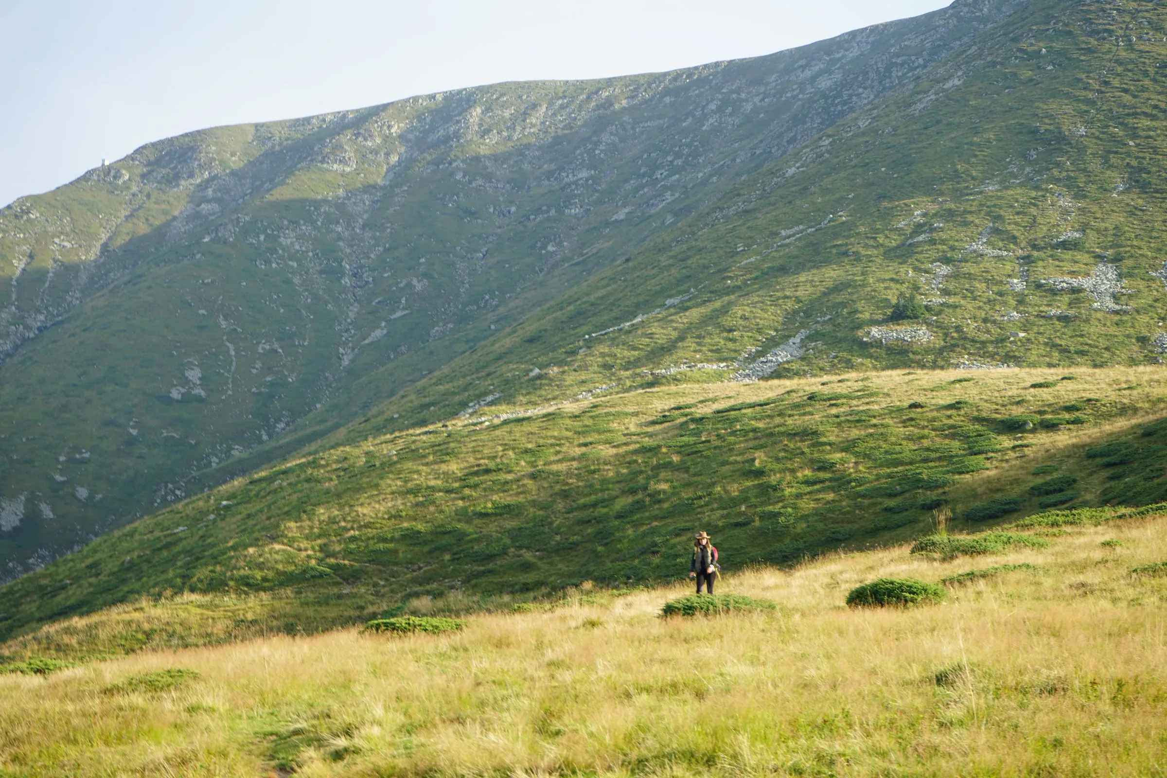 A lone figure walking across a wide green mountain meadow below the ridges of the Central Balkan