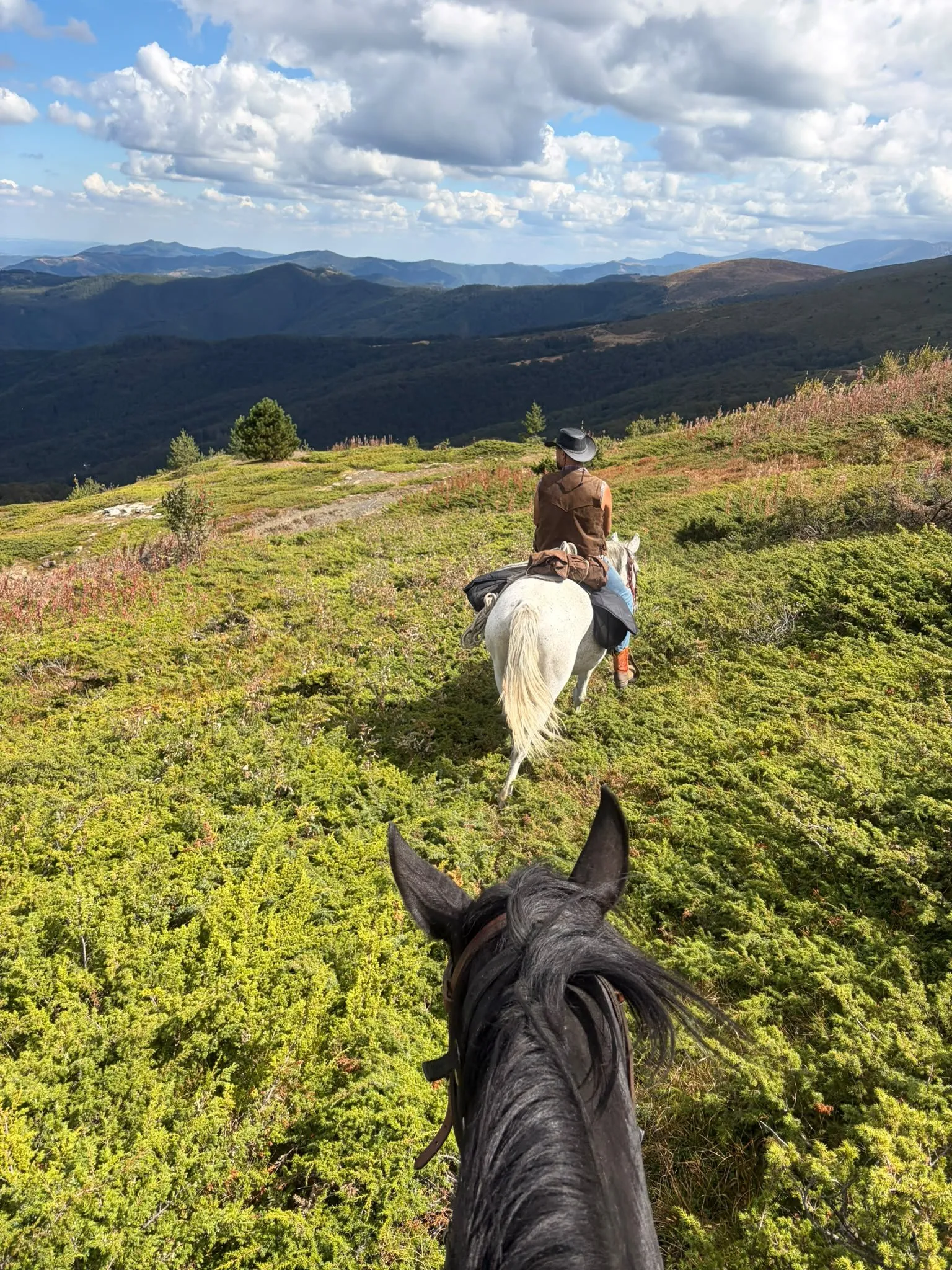 View between a black horse's ears, following a rider on a white horse across a green mountain slope