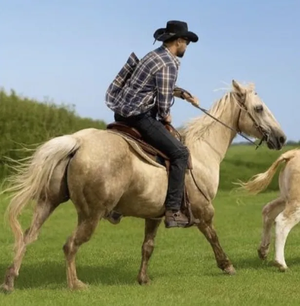 Vlad riding a palomino horse in a cowboy hat and plaid shirt